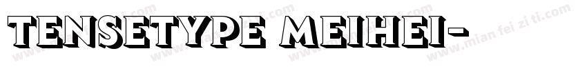tensetype meihei字体转换